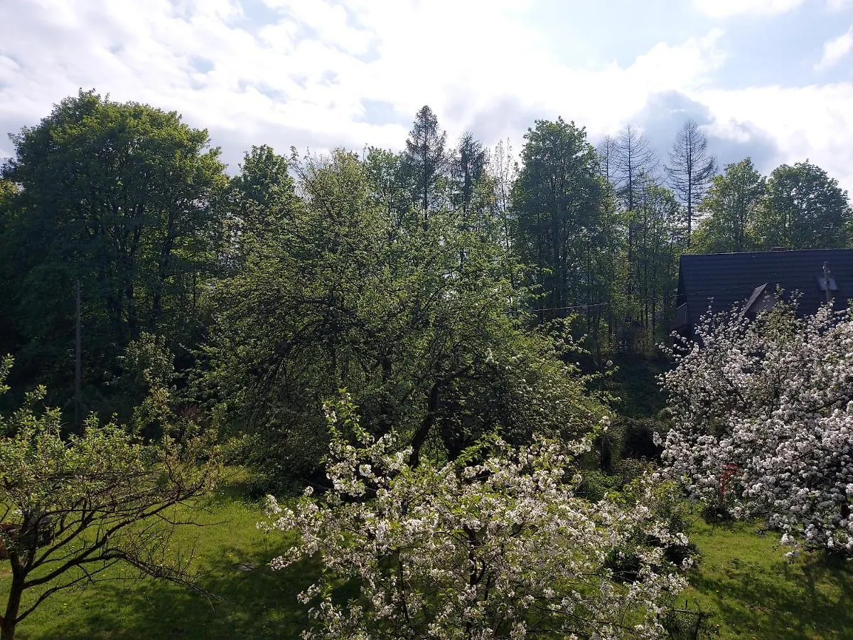 Apartament Bolek I Apartament Lolek Zakopane Pologne